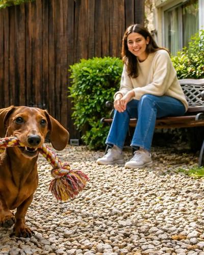 Pet-friendly hotel Regency Golf Urban Hotel Montevideo Pet-friendly hotel Regency Golf Urban Hotel Montevideo